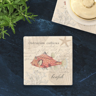 🐠 Vintage Orange Boxfish Illustration Nautical Stone Coaster