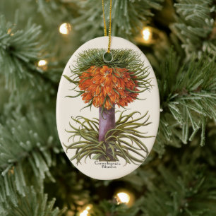 Vintage Orange Fritillaria Flowers Basilius Besler Ceramic Tree Decoration