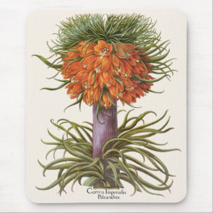 Vintage Orange Fritillaria Flowers Basilius Besler Mouse Mat