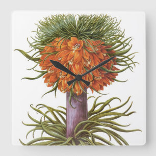 Vintage Orange Fritillaria Flowers Basilius Besler Square Wall Clock