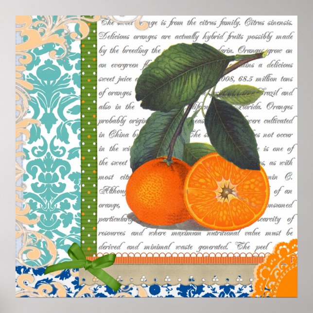 Vintage Orange Fruit Kitchen art Poster (Front)