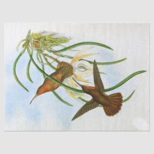 Vintage Orange Grey Saw Bill Hummingbird Decoupage Tissue Paper