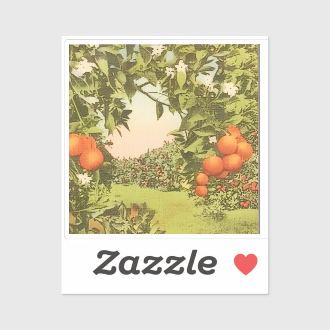 Vintage Orange Grove (Sheet)