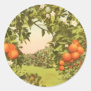 Vintage Orange Grove Classic Round Sticker