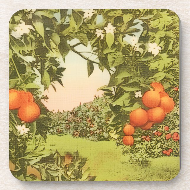Vintage Orange Grove Coaster (Front)