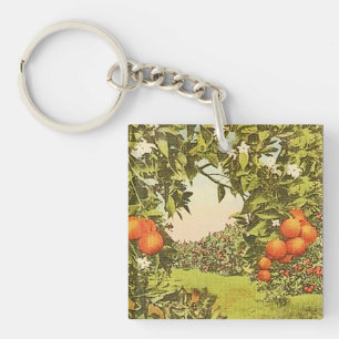Vintage Orange Grove Key Ring