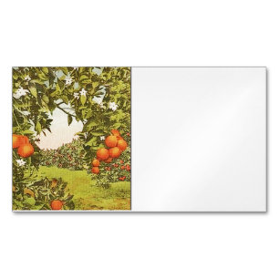 Vintage Orange Grove Magnetic Business Card