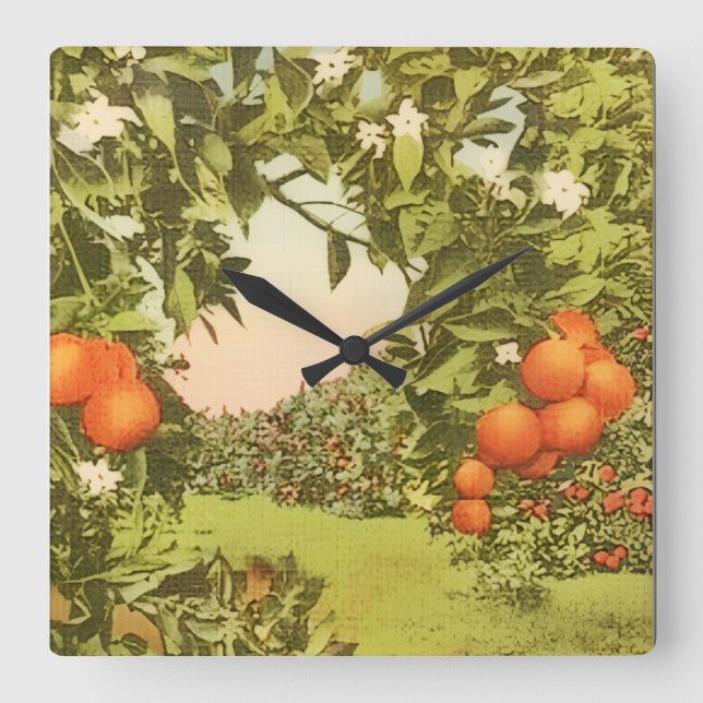 Vintage Orange Grove Square Wall Clock (Front)
