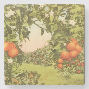Vintage Orange Grove Stone Coaster