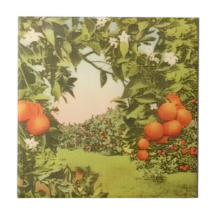 Vintage Orange Grove Tile