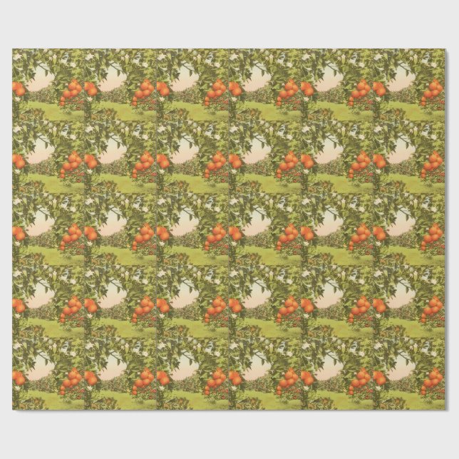 Vintage Orange Grove Wrapping Paper (Flat)
