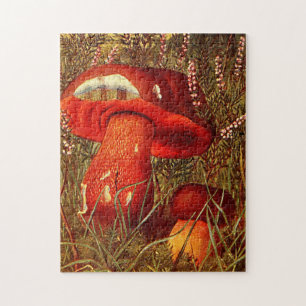 Vintage Orange Mushrooms - Boletus Luridus Jigsaw Puzzle
