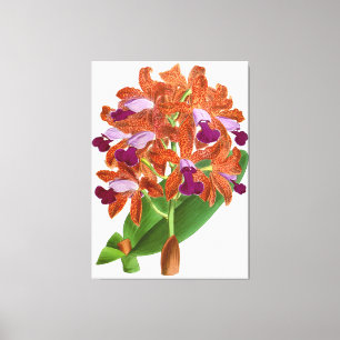 Vintage Orange Purple Orchid Flower - Canvas Print