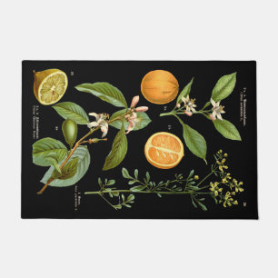 Vintage Oranges and Lemons Door Mat