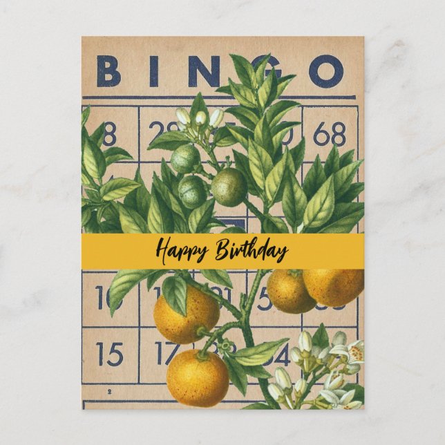 Vintage Oranges Birthday Postcard (Front)
