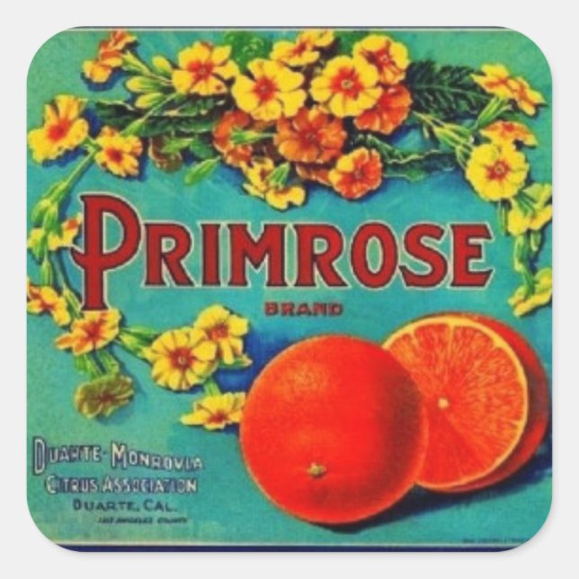 Vintage oranges fruit advertisement label (Front)