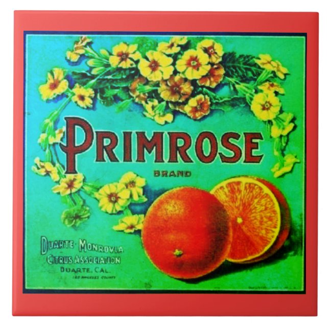 Vintage oranges fruit company sign ceramic tile (Front)