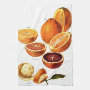 Vintage Oranges Kitchen Towel