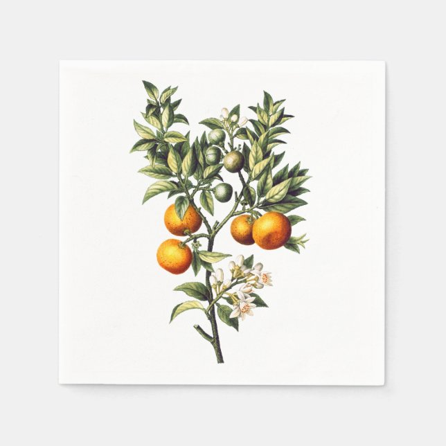 Vintage Oranges Napkin (Front)
