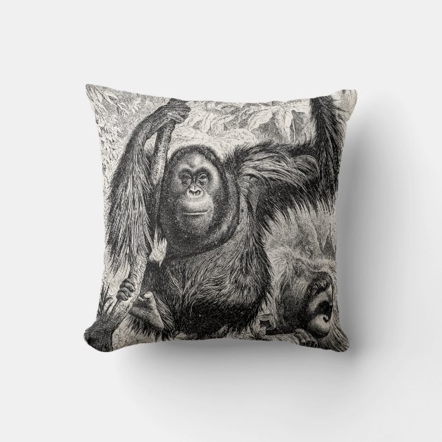 Vintage Orangutan Illustration - 1800's Monkey Cushion (Front)