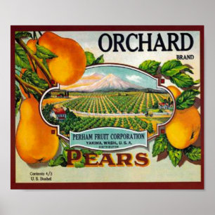 Vintage Orchard Pears Poster