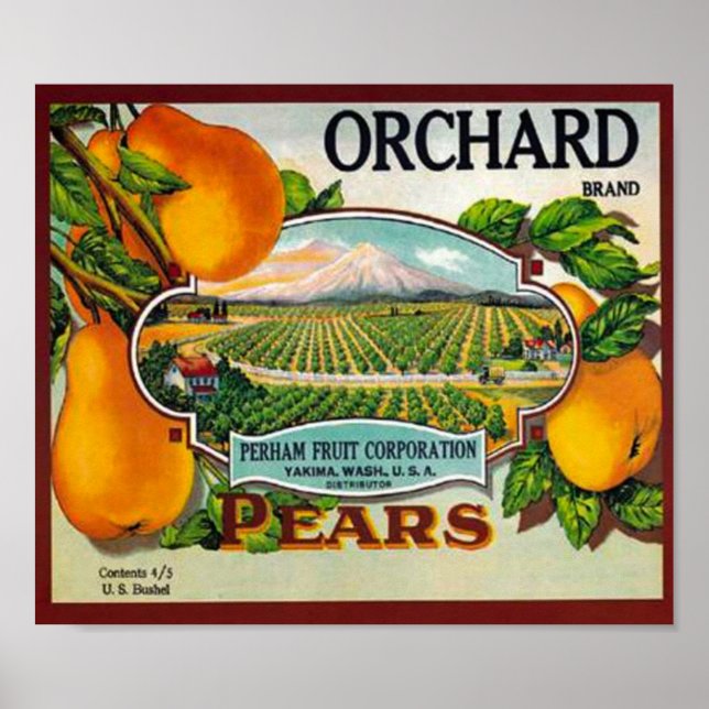 Vintage Orchard Pears Poster (Front)