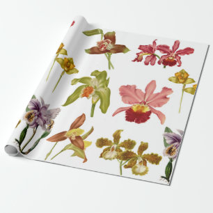 Vintage Orchid Flowers Botanical Garden art Wrapping Paper