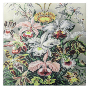 Vintage Orchid Flowers by Ernst Haeckel Tile