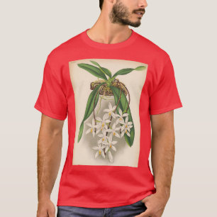 Vintage Orchid Print Sarcochilus unguiculatus 1887 T-Shirt
