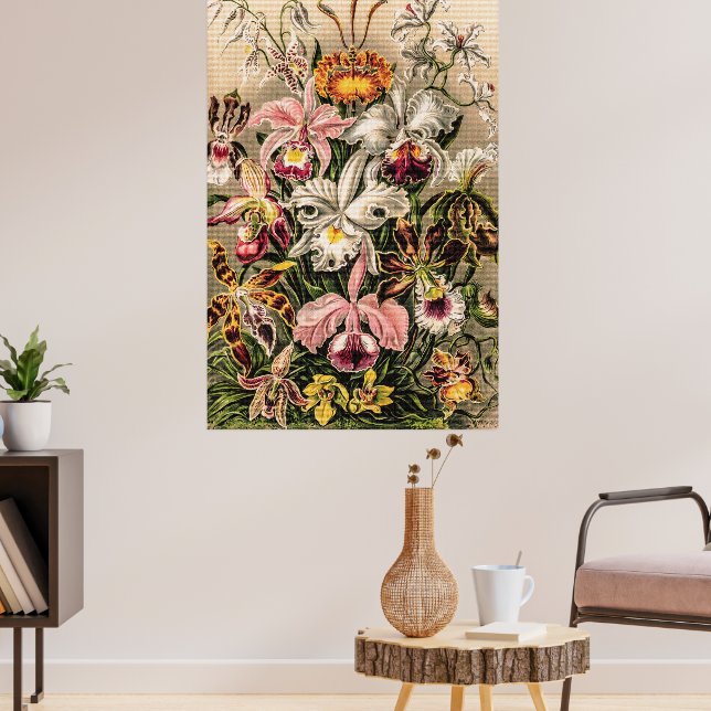 Vintage Orchids Flower by Ernst Haeckel Poster (Living Room 3)