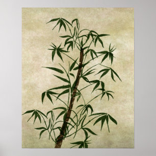 Vintage Oriental Bamboo 1 Poster