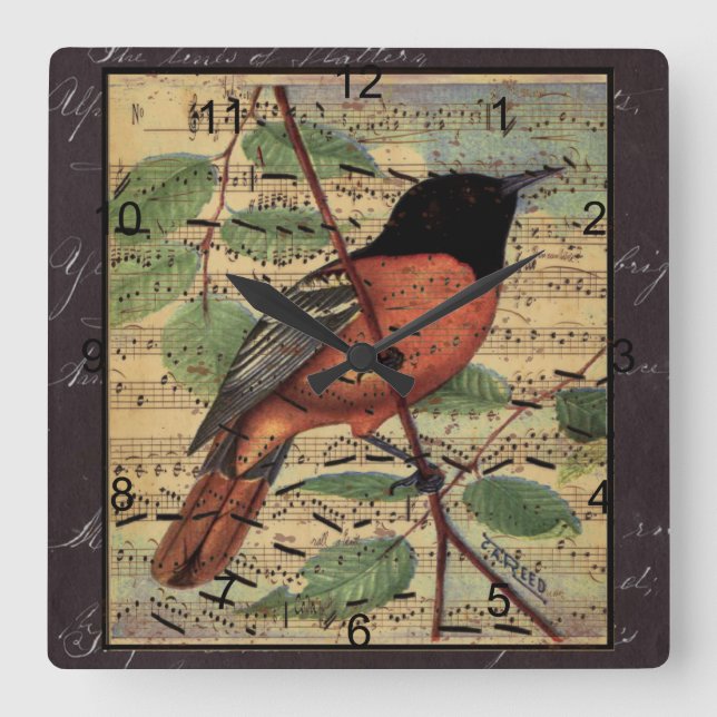 Vintage Oriole On  Music Square Wall Clock (Front)