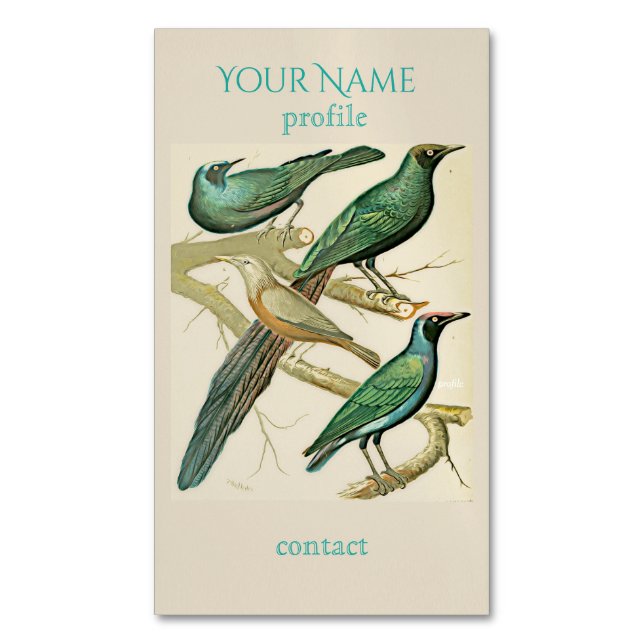 Vintage Ornithology Magnetic Business Card (Front Vertical)