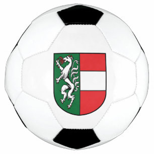 Vintage Österreich Steiermark Fürstenfeld Wappen Football