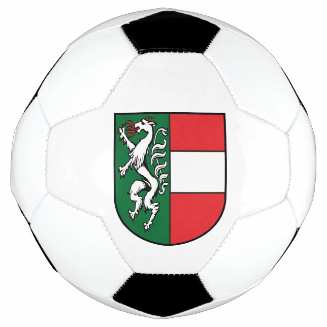 Vintage Österreich Steiermark Fürstenfeld Wappen Football (Front)