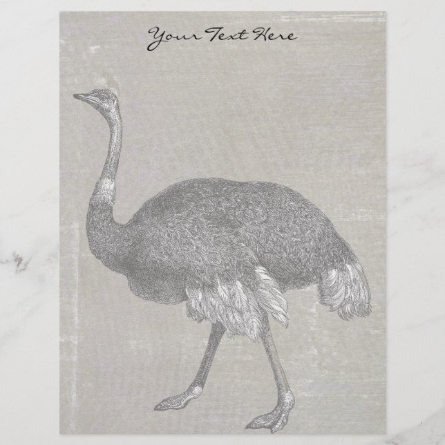 Vintage Ostrich (Front)