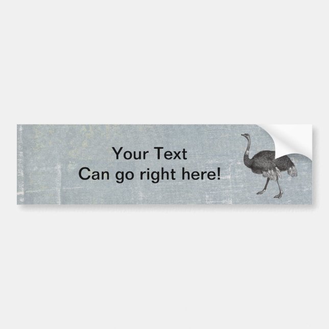 Vintage Ostrich Bumper Sticker (Front)