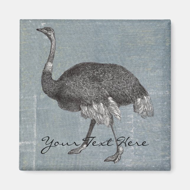 Vintage Ostrich Magnet (Front)