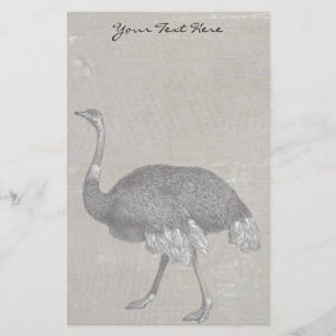 Vintage Ostrich Stationery