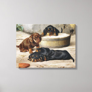 Vintage Otto Bache Dachshund puppies   Canvas Print