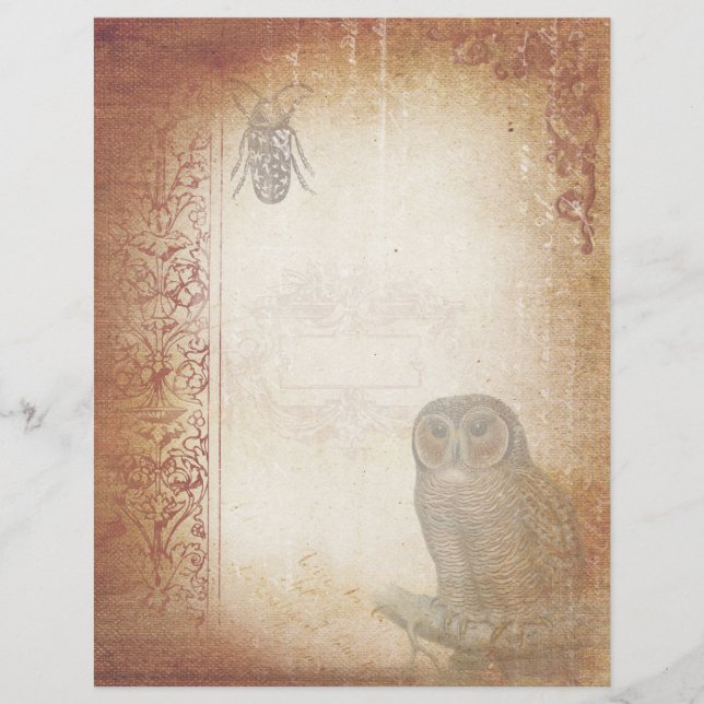 Vintage Owl and Beetle  Aged Scrapbook Paper (Front)