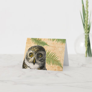 Vintage Owl and Ferns All Occasions  Holiday Card