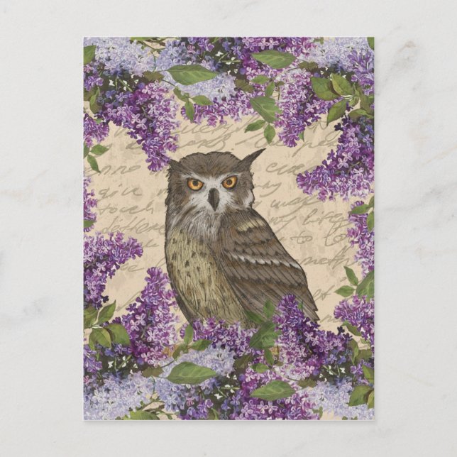 Vintage owl and lilac postcard (Front)