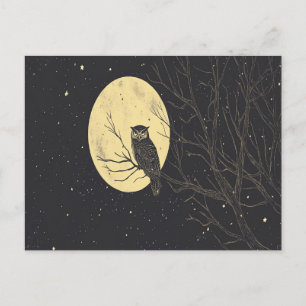 Vintage Owl Art Under A Moonlit Sky Postcard