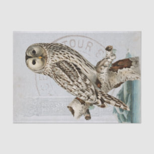 Vintage Owl Bird Blue Decoupage French Postmark Tissue Paper