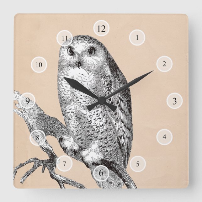 Vintage Owl Clock (Front)