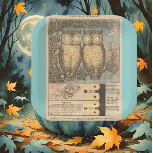 Vintage owl cute fall kid's craft illustration paper plate