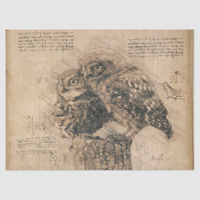 Vintage Owl Drawing Tissue Paper (Front)