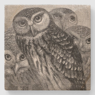 Vintage Owl Family Square Stone Coaster