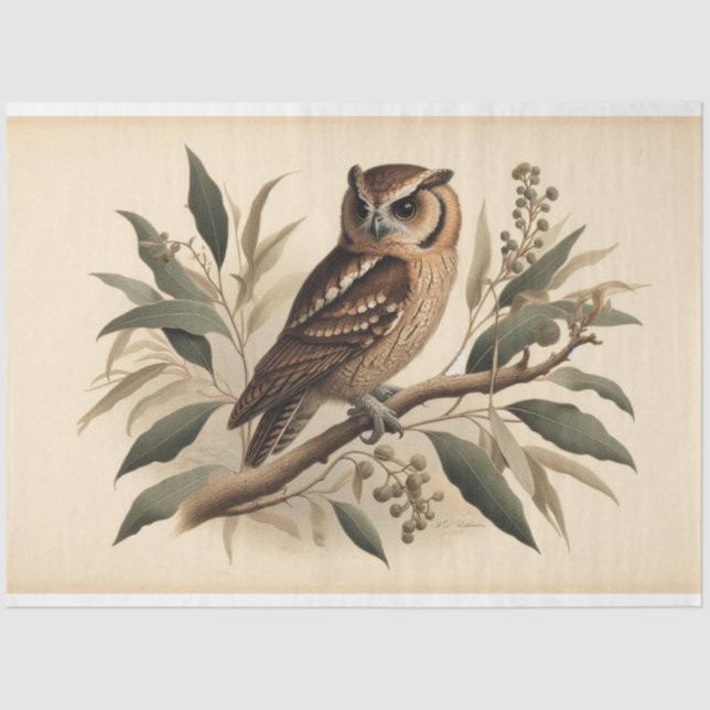 Vintage Owl Fauna Flora Decoupage Tissue Paper (Front)